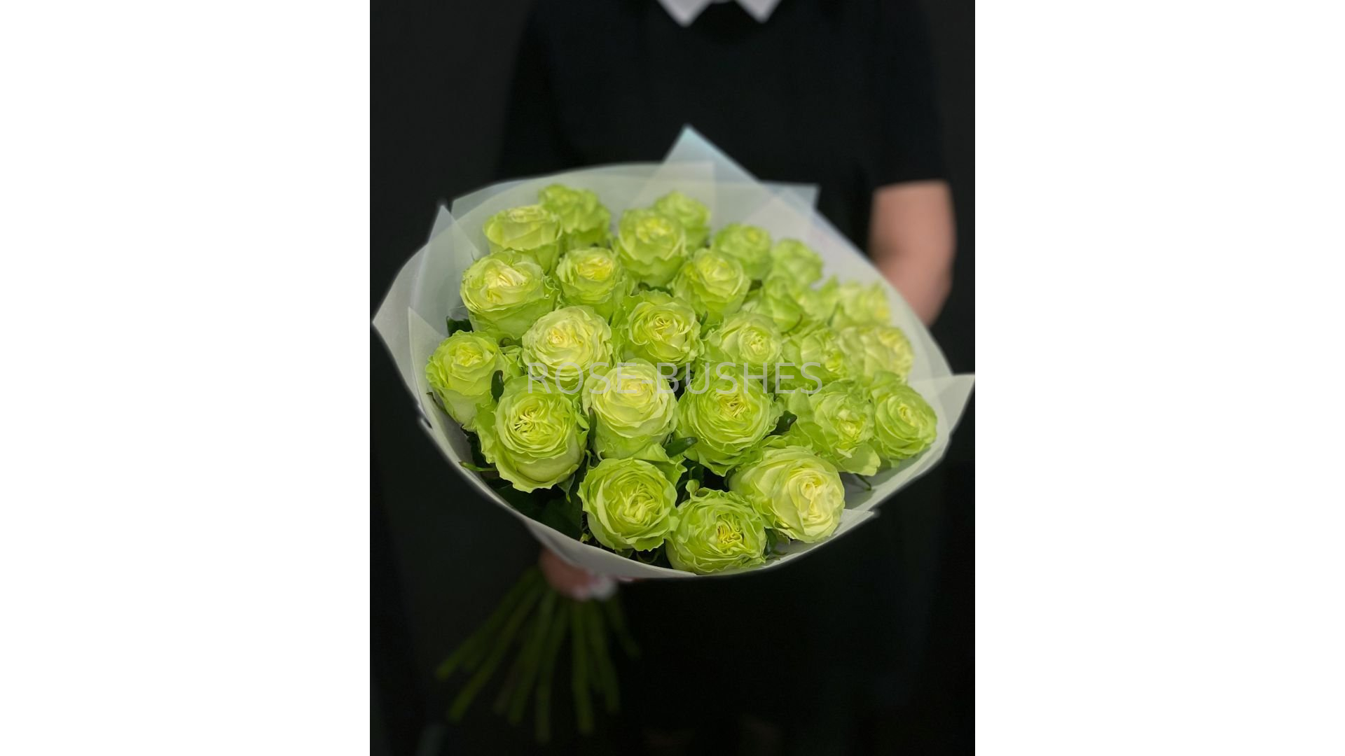 Васаби. Wasabi. (ЧГ) Васаби. Wasabi. (ЧГ)